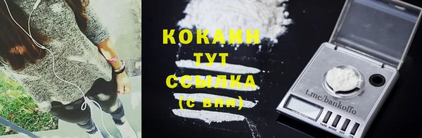 apvp Бородино