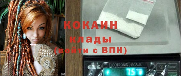 apvp Бородино